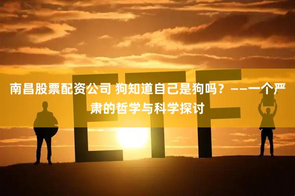 南昌股票配资公司 狗知道自己是狗吗？——一个严肃的哲学与科学探讨